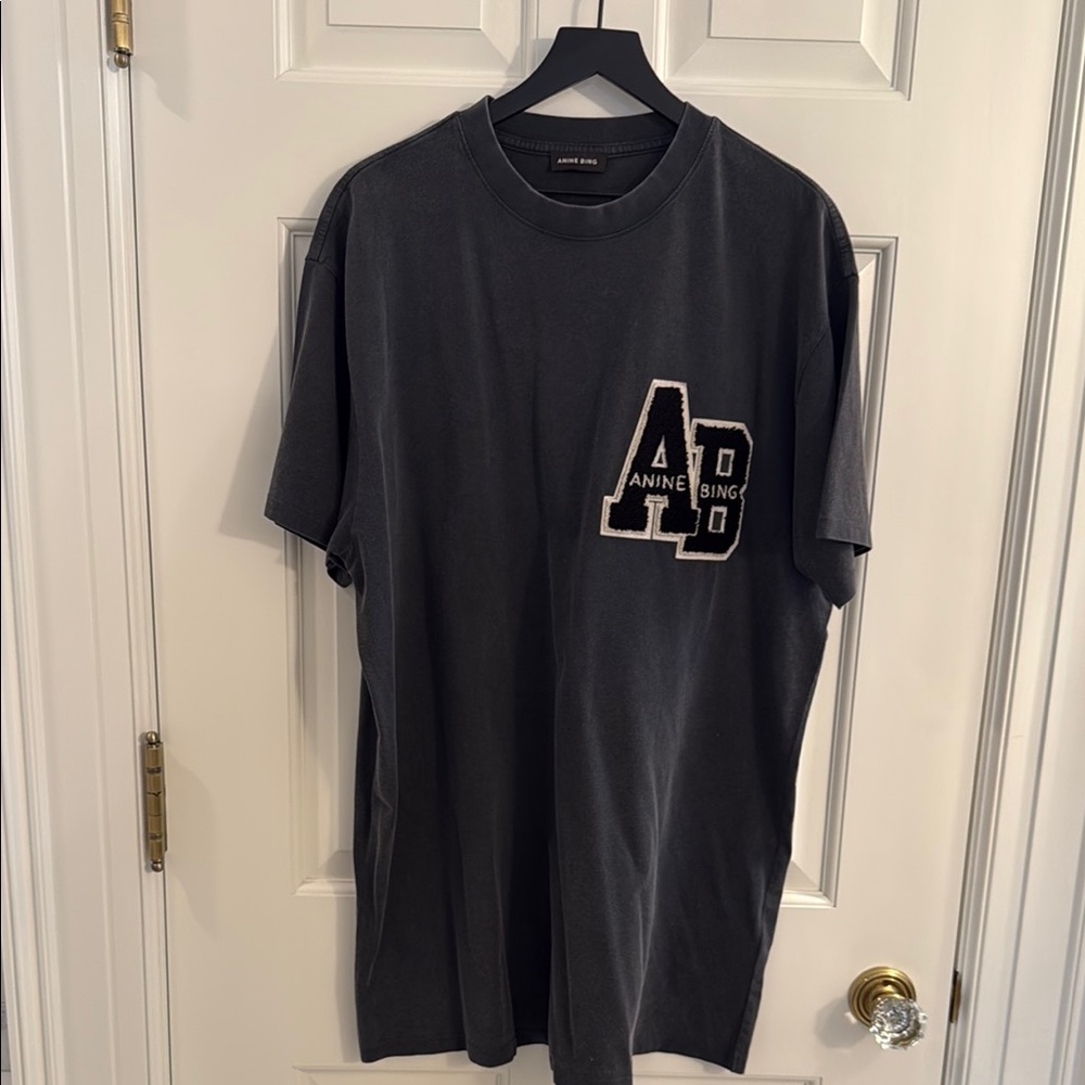 Anine Bing t shirt dress ( oversized)